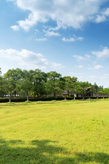 Beautiful panorama of green city park