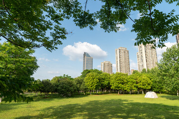city park with modern building background in shanghai