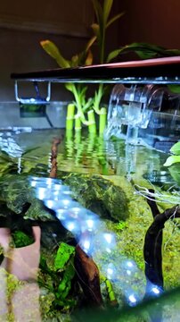 Waterfall from hang on filter in aquarium aquascape 