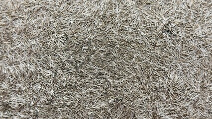 Microtexture of Metallic or Fibrous Particles — Detailed Image for Scientific Research, Industrial Design, and Material Visualization