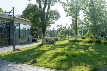 spring park and modern city