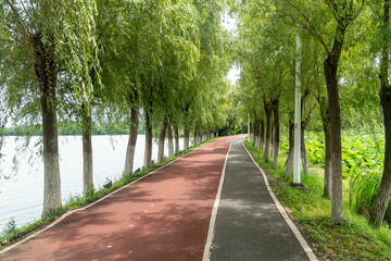 New pathway and beautiful trees track for running or walking and cycling relax in the park
