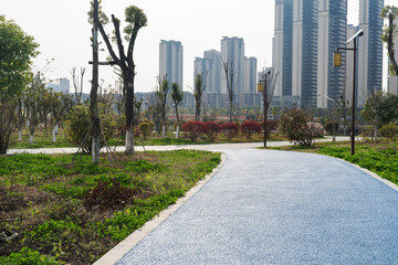 city park with modern building background in shanghai