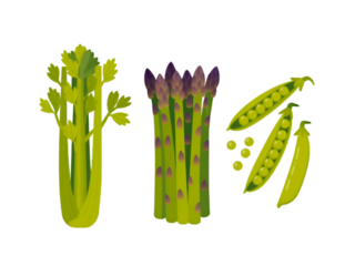 Celery asparagus peas isolated on a transparent background green purple