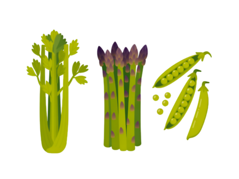 Celery asparagus peas isolated on a transparent background green purple - Powered by Adobe