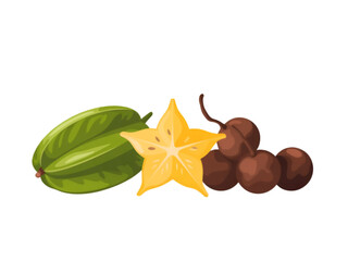 Fototapeta premium Green star fruit yellow star fruit brown berries isolated on a transparent background starfruit