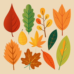 Obraz premium Autumn leaves Fall leaves leaves set autumn colorful maples leaves fallen oak leaves 