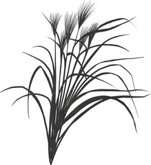 ススキのイラスト素材