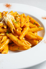 A closeup view of a plate of penne vodka.