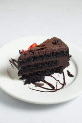 A view of a chocolate cake slice.