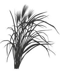 ススキのイラスト素材