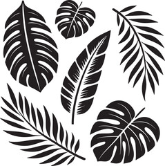 Collection of tropical plant leaves silhouettes foliage