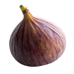 Ripe Fig: Detailed Close-Up of a Single Fig Fruit