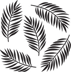 Five Scattered Black Silhouette Palm Fronds on White Background