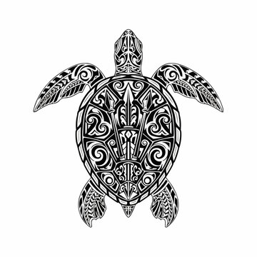 turtle tattoo style vector
