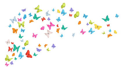 Group of multicolored butterflies flying in various directions. Spring and summer insects for decor. Vector illustration
