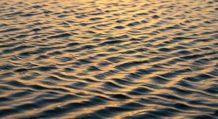 Rippled water surface at sunset reflecting golden light and soft pink evening sky
