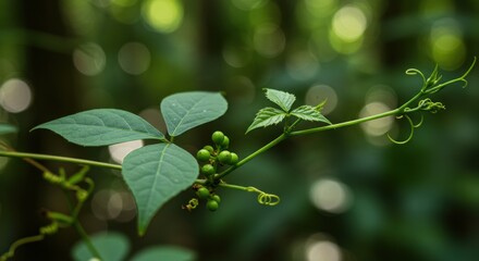 Lush green leaves and berries arranged artistically with vibrant colors and natural shapes