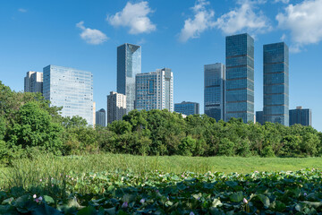 Fototapeta premium city park with modern building background in shanghai