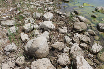 Washed white stones on the shore of Kakhovka Reservoir