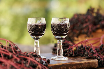 Two glasses of black elder syrup with fresh elderberries in a garden