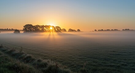 Sunrise through morning mist over a grassy field in soft golden light