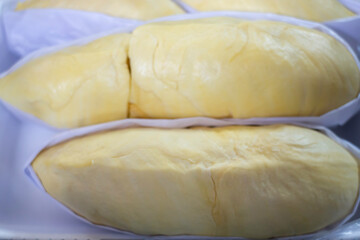 Fresh open durian fruit fresh tropical exotic