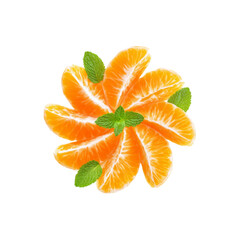 Mandarin Orange and Mint Flower Arrangement - Fresh Citrus Design