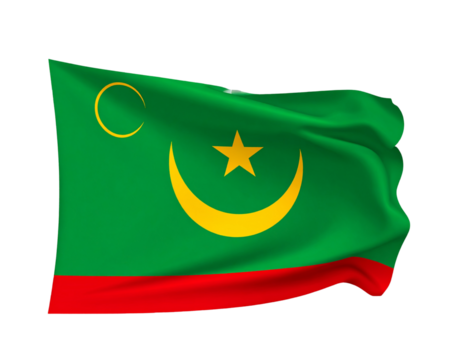 Minimalist Vector Mauritania Flag Design isolated on transparent background.
