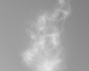 Realistic white smoke or mist effect with soft, swirling patterns on a transparent background. Perfect for overlays and atmospheric designs.	