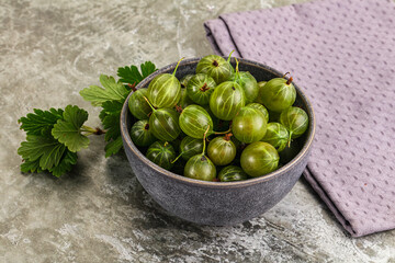 Ripe sweeet and juicy gooseberry