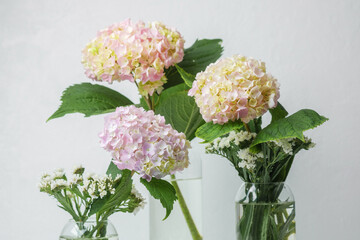 Bright hydrangea bouquet with natural light – ideal for lifestyle blog visuals or floral mockups