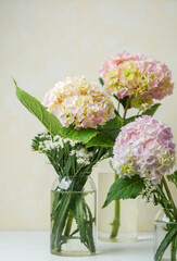 Hydrangea trio in clear vase – perfect for editorial designs, product mockups, and branding