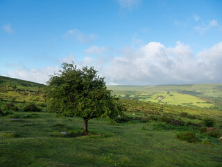 beautiful landscape of dartmoor hills in englands county devon