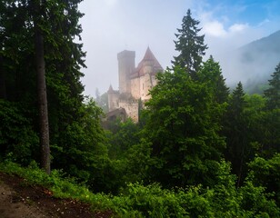 Naklejka premium Misty forest scene with a medieval castle in the background.
