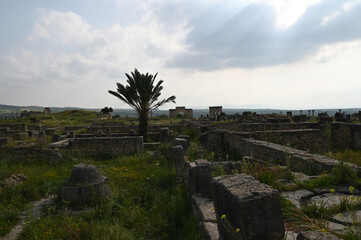 Site archéologique de Volubilis (Maroc)