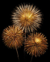 Old and Yellow Fireworks Exploding on Transparent Background

