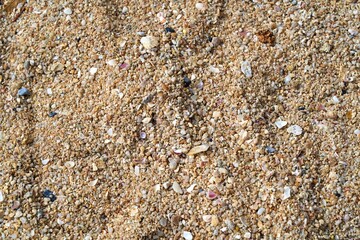 Sand and shells on the sandy ground CU
