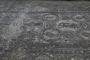 Site archéologique de Volubilis (Maroc)