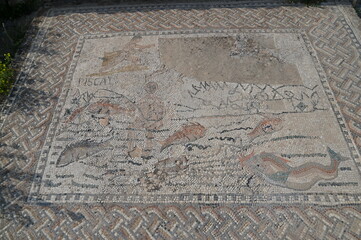 Site archéologique de Volubilis (Maroc)