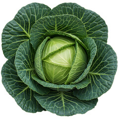 Obraz premium Fresh, vibrant green cabbage head showcasing crisp leaves and healthy texture, perfect for culinary and dietary content.