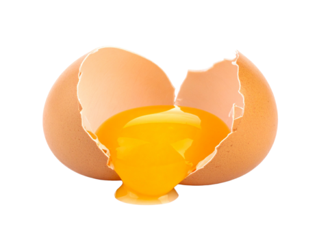 A cracked egg shell, isolated on a white background, symbolizing new beginnings, fragility, or broken promises.