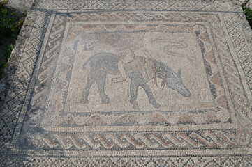 Site archéologique de Volubilis (Maroc)