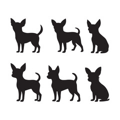 Six black chihuahua dog silhouettes in various poses white background