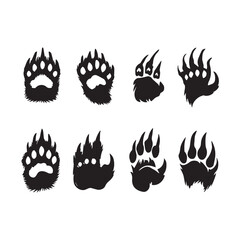 Black bear paw prints with sharp claws and fur texture animal track wildlife