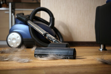 Close up of pet dog or cat hair against background of vacuum cleaner interior of residential apartment.