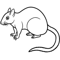Tree shrew line art vector