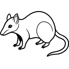 Tree shrew line art vector