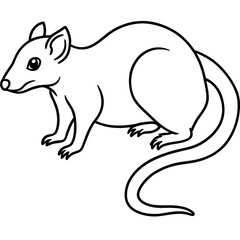 Tree shrew line art vector