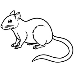 Tree shrew line art vector